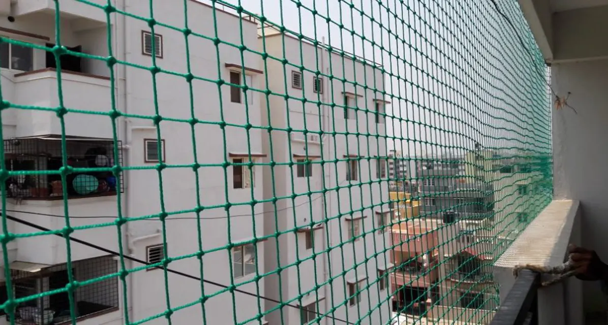 Pigeon Safety Nets